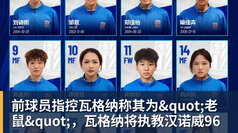 前球员指控瓦格纳称其为"老鼠",瓦格纳将执教汉诺威96